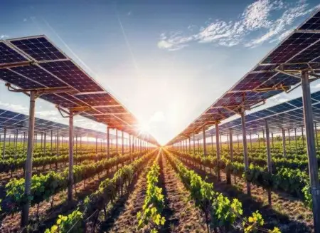 Carpi alle prese con l'agrivoltaico