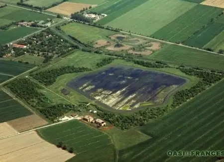 Verde che cresce, la città che respira