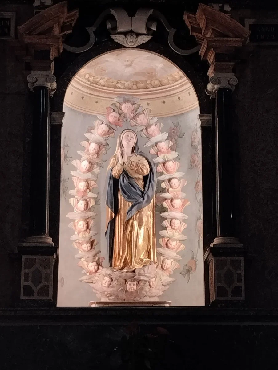 Tre mostre al Palazzo dei Pio per esplorare la trasmissione dei saperi attraverso i secoli