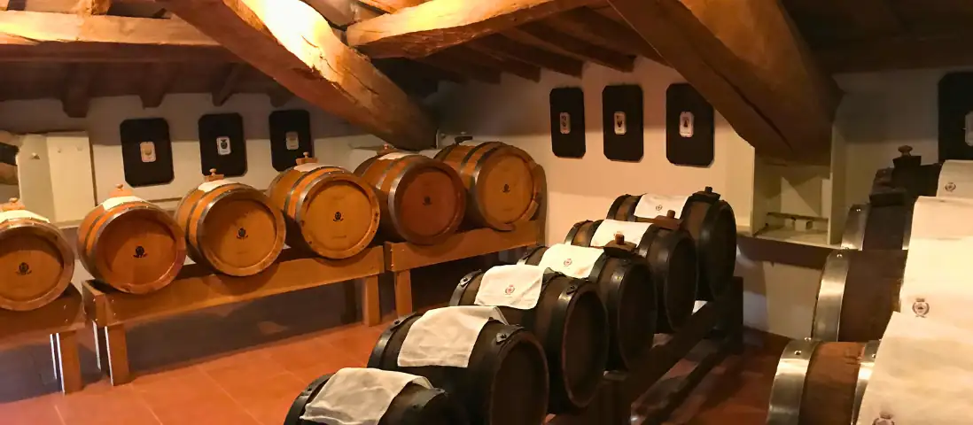 L'oro nero di Carpi apre le porte ai visitatori